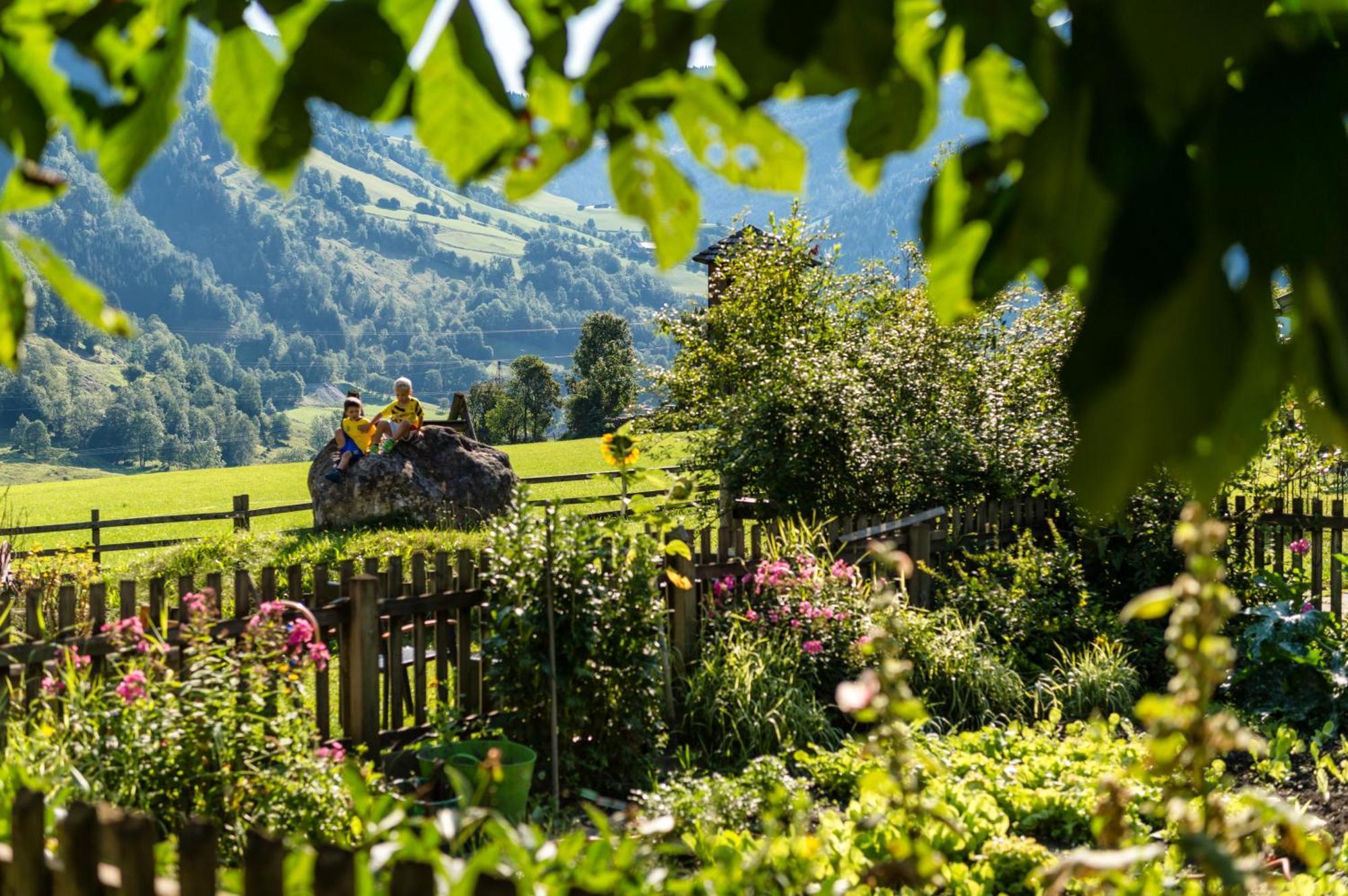 Bauernhofhotel "Die Unterbergerin" - Zimmer Mit Fruehstueck Und Ferienwohnungen In Gastein Mit Gratis Thermeneintritt Dorfgastein Eksteriør billede