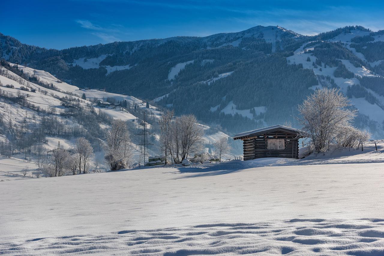 Bauernhofhotel "Die Unterbergerin" - Zimmer Mit Fruehstueck Und Ferienwohnungen In Gastein Mit Gratis Thermeneintritt Dorfgastein Eksteriør billede