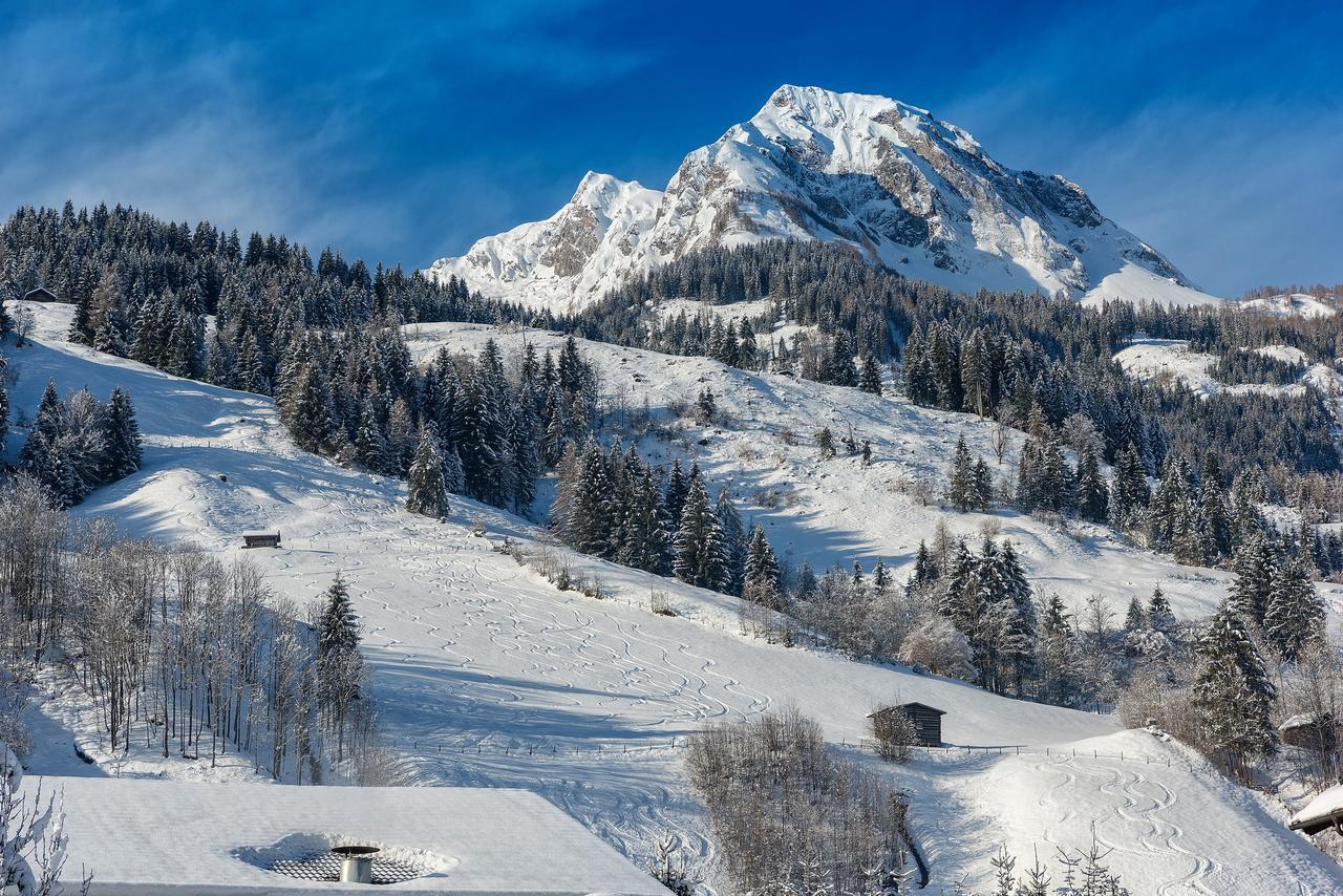 Bauernhofhotel "Die Unterbergerin" - Zimmer Mit Fruehstueck Und Ferienwohnungen In Gastein Mit Gratis Thermeneintritt Dorfgastein Eksteriør billede